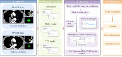 Delta radiomics model for the prediction of progression-free survival time in advanced non-small-cell lung cancer patients after immunotherapy